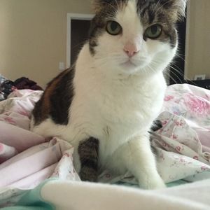 Meet your Posher, Shelby